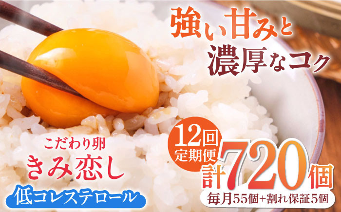 
                  【12回定期便】きみ恋し 箱入り 60個（55個+割れ保証5個）×12ヶ月　総計720個 たまご 卵 玉子 タマゴ 鶏卵 濃厚 玉子焼き 卵焼き オムレツ たまごかけご飯 冷蔵 広川町 / 伊藤養鶏場 [AFAJ011]
                