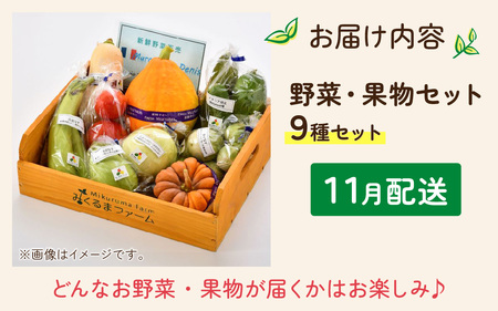 朝どれ 旬な野菜 果物セット９種類セット【お届け対象月 11月】農薬・化学肥料不使用