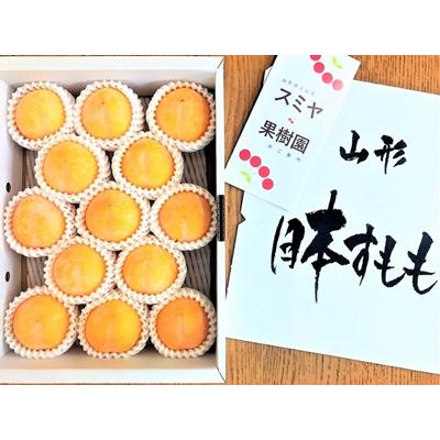 ふるさと納税 上山市 すもも(峰満イエロー)2kg　特秀品　0047-2505