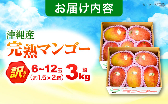 訳あり 完熟マンゴー 約3kg (約1.5kg (3～6玉) ×2箱) マンゴー 沖縄 果物 フルーツ ギフト 沖縄市 / ちゃんぷる～市場 [BCAA003]