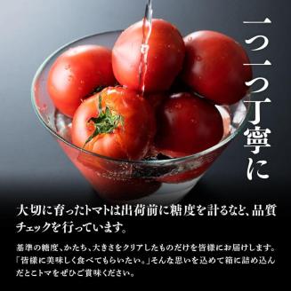 宮崎県産とまと・とこうさんのトマト1ｋｇ(9～18個)_宮崎県産とまと国産トマト九州産とまと川南町産トマトトマトとまと野菜ヘルシー野菜送料無料野菜[E6601]