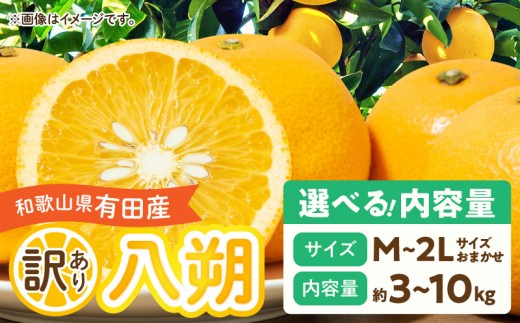 
                  【2027年先行予約】【先行予約】和歌山県有田産 八朔 訳あり M～2Lサイズおまかせ(もしくはサイズ混合の場合あり) はっさく 選べる 内容量 3kg 5kg 10kg M～2L サイズ おまかせ 完熟 甘み 増す デザート おやつ 果物 柑橘 お取り寄せ 和歌山県 湯浅町 送料無料 _DI6033n-SKU
                
