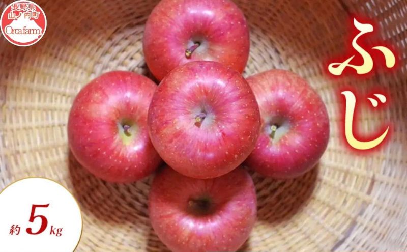 ふじ 約5kg りんご リンゴ 林檎 果物 フルーツ 長野県 長野 山ノ内町
