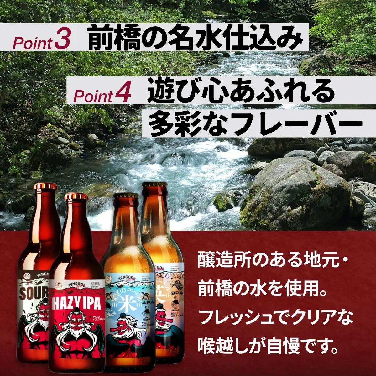 クラフトビール ととのエール（英） 6本セット テングビール