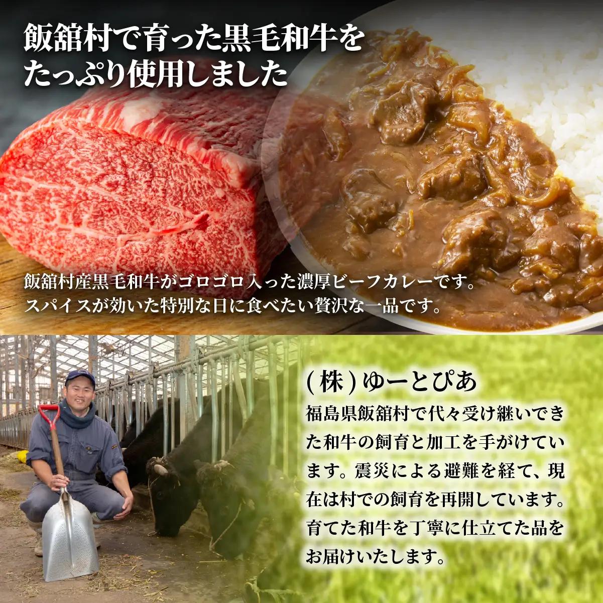 飯舘産黒毛和牛カレー　10食セット ITTAH002