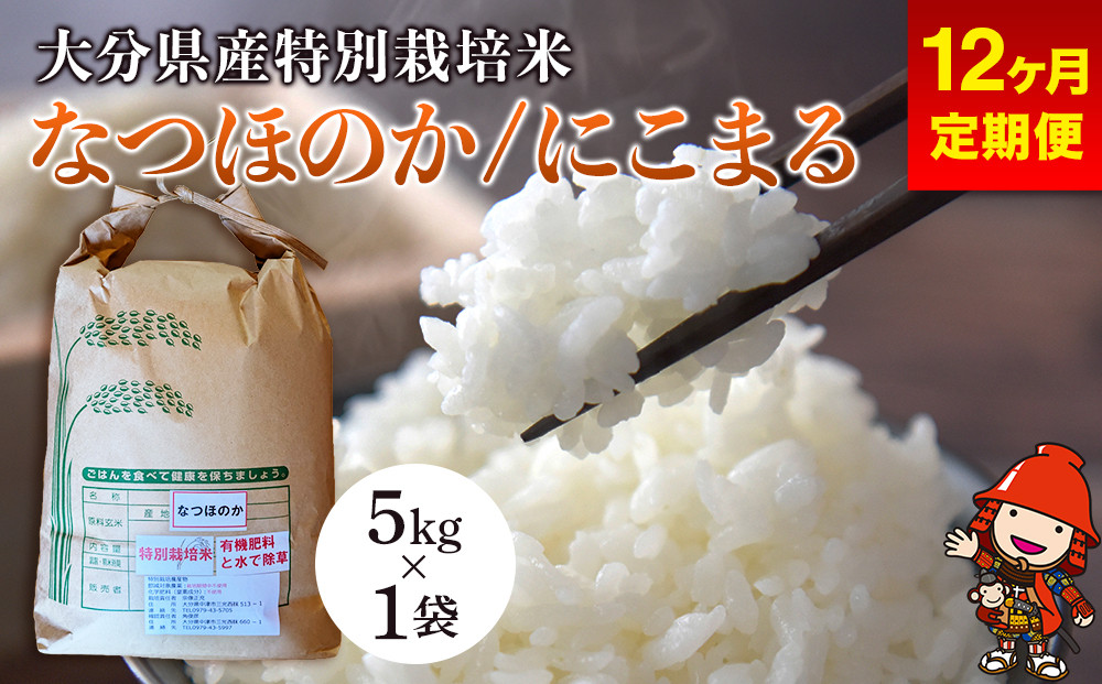 
            【12ヶ月定期便】令和6年産 特別栽培米 なつほのか にこまる 5kg×1袋 (毎月1回) 宗像農園 大分県中津市三光産 栽培期間中 農薬不使用 精米 玄米 選べる 国産 お米 米 ご飯 白米 農家直送 大分県産 九州産 中津市
          