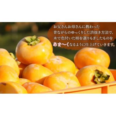 ふるさと納税 鶴岡市 【にこにこふぁーむ】のあまーい種無し庄内柿　ホワイトリカー35度で渋抜き済　約5kg　[K-758] |  | 02