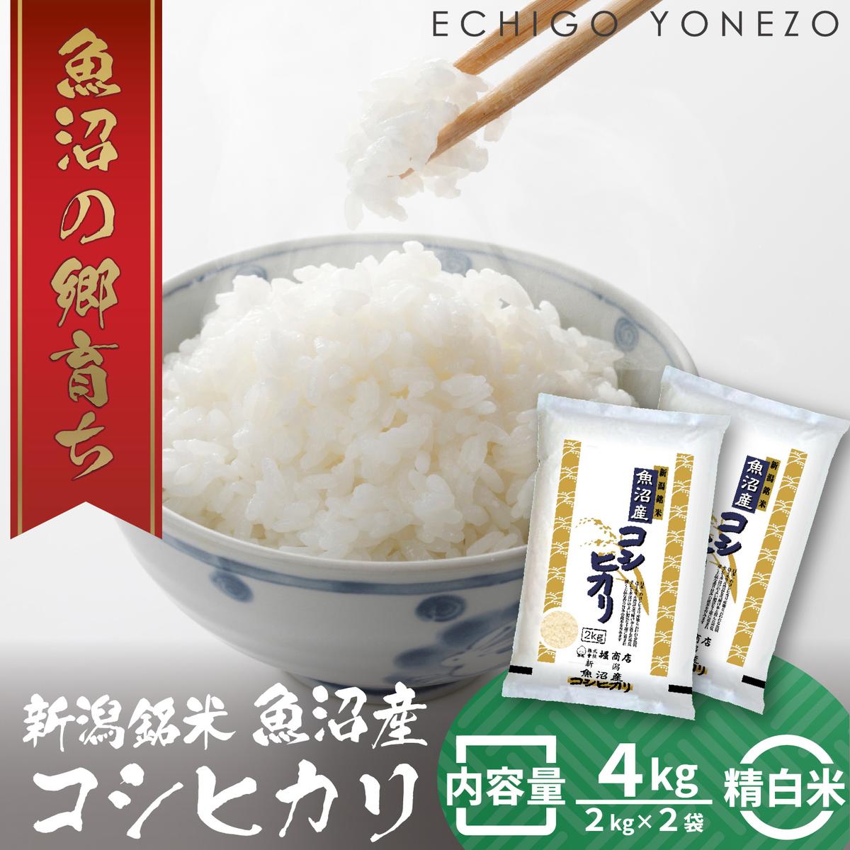 【ふるさと納税】令和7年産 魚沼産コシヒカリ（精米）4kg お米 白米 ご飯 ブランド米 銘柄米 おにぎり お弁当 和食 産地直送 粘り モチっと食感 上品な甘み 　お届け：寄附入金確認後、順次発送