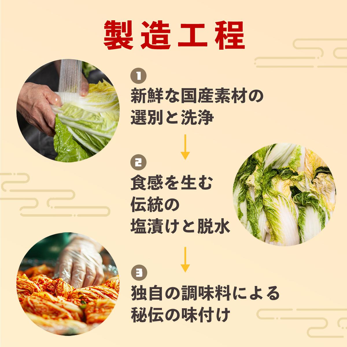 熟成秘伝のさきいかキムチ(100g×2パック)【本格いかキムチ 国産素材 発酵グルメ 手作り風 ご飯のお供 お酒のお供 食べきりサイズ 九州産 ご当地グルメ 秘伝タレ 熟成海鮮キムチ やみつき】(H1