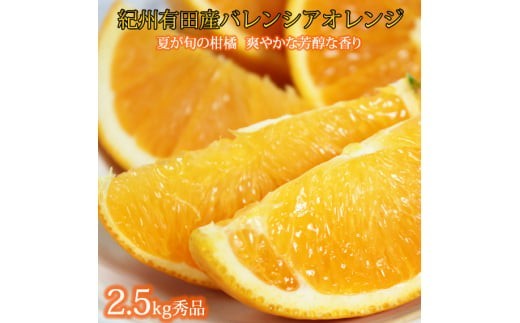 
                  【先行予約】 秀品 希少な国産バレンシアオレンジ 2.5kg ※2027年6月下旬頃〜7月上旬頃順次発送（お届け日指定不可） / 果物 くだもの フルーツ 柑橘 みかん オレンジ 【uot752】
                