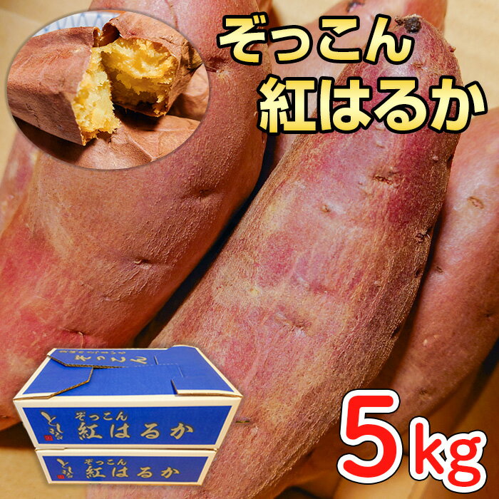 【ふるさと納税】ぞっこん さつまいも 紅はるか 5kg 産出額 全国 No. 1 茨城 鉾田 さつまいも 干し芋 焼き芋 としまる