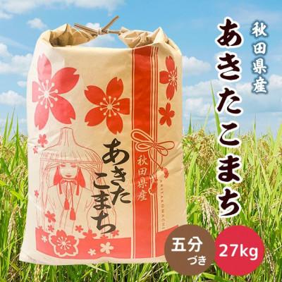 ふるさと納税 潟上市 【毎月定期便】秋田県産あきたこまち 27kg(五分づき)全12回