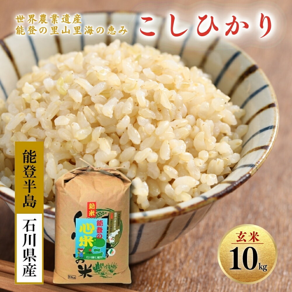【ふるさと納税】【能登半島地震復興支援】新米 令和7年産 10kg こしひかり 能登の心米（玄米10kg）10kg×1袋 ｜白米 お米 コシヒカリ 石川県 能登 七尾市 復興 復興支援