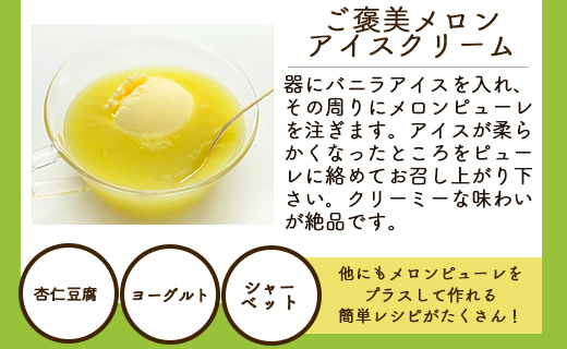 【3回定期便】完熟マスクメロンピューレ 120g×6袋 Wtn-0031