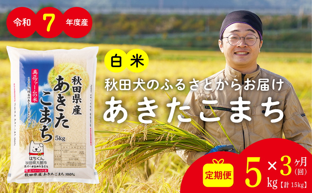 【定期便3ヶ月】令和7年産 秋田県産米「あきたこまち（白米）」 5kg（5kg×1袋）【真正ファーム】