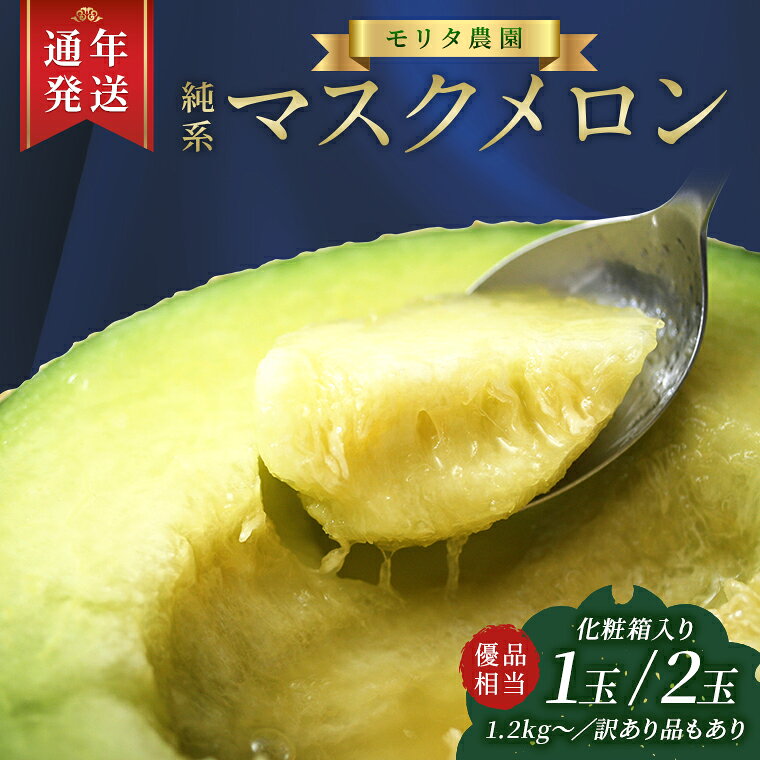 【ふるさと納税】メロン マスクメロン フルーツ 果物 おすすめ 1玉 2玉 高級 優 化粧箱 箱 通常品 訳あり 国産 青肉 贈答用 プレゼント 贈り物 ギフト お祝い 記念日 自宅用 期間限定 数量限定 先行受付 発送時期 通年 2026年 選べる モリタ農園