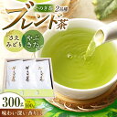 【ふるさと納税】そのぎ茶 100g×3袋入り 茶 お茶 緑茶 日本茶 茶葉 東彼杵町/勝野製茶 [BCJ001]