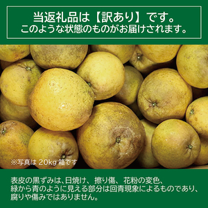 【訳あり】 河内晩柑 （愛南ゴールド）5kg 木取り完熟 樹齢25年 吉本農園 柑橘 みかん 愛南ゴールド 蜜柑 グレープフルーツ ゼリー ジュース アイス 果物 フルーツ サイズミックス 規格外 愛