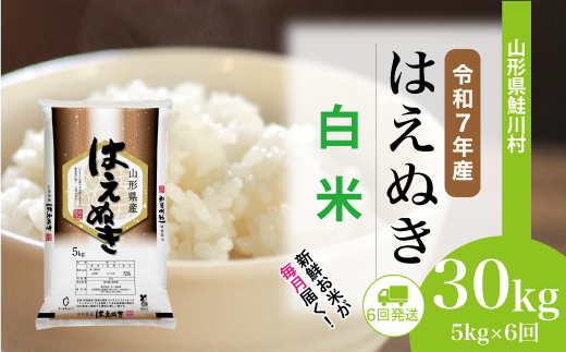 ＜令和7年産米＞ 令和7年12月中旬より配送開始 はえぬき【白米】30kg定期便 (5kg×6回)　鮭川村