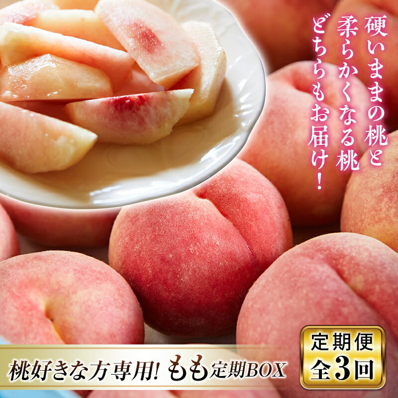 【ふるさと納税】 《先行予約 2026年発送》～桃好きな方専用～もも定期BOX【全3回】 もも モモ 桃 デザート フルーツ 果物 くだもの 果実 食品 山形県 FSY-2451