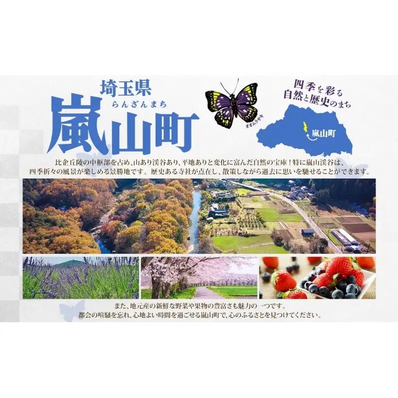 さをり織り ポーチセット マチあり＆フラット 花ブローチ付（暖色） 手織り生地 雑貨 ハンドメイド 手作り