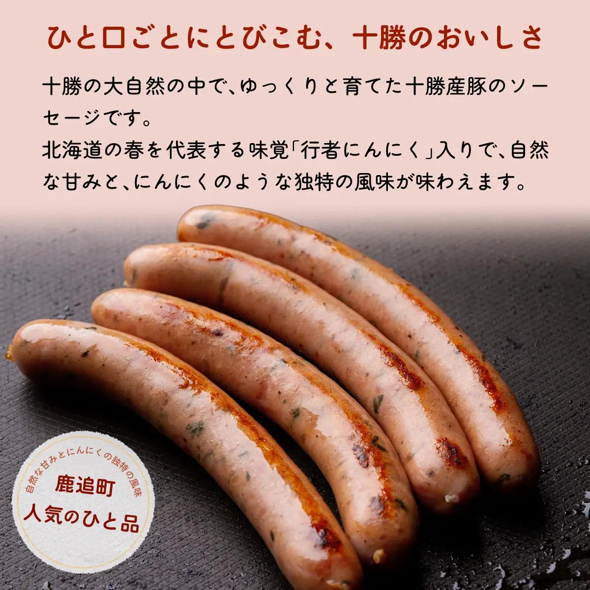 行者にんにく入りソーセージ 480g（160g×3） SKD025