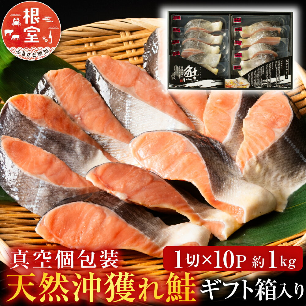 【ふるさと納税】 天然沖獲れ鮭 1 切 × 10P ( 約 1kg ) 鮭 さけ サケ しゃけ シャケ 魚 さかな サカナ 沖どれザケ 沖どれざけ 春ザケ 春ざけ 春鮭 時不知 時鮭 トキシラズ ときしらず お取り寄せ グルメ 海鮮 塩鮭 切身 切り身 真空 北海道 根室市 ふるさと納税 B-11060