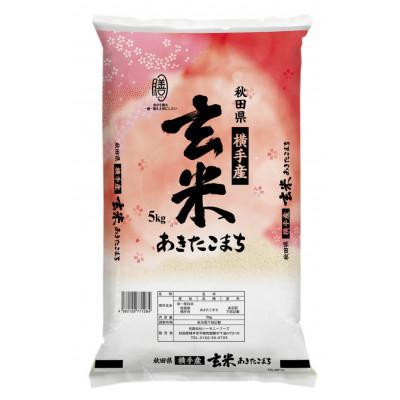 ふるさと納税 横手市 【令和7年産】秋田県横手市産 あきたこまち 玄米 5kg