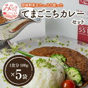 【ふるさと納税】＜ご当地カレー＞てまごこちカレーセット 宮崎食研 人気 レトルトカレー ラポール ・ド・クニトミ 完全極秘 独自レシピ 野菜 旨味 スパイス 鶏もも肉 チキンスープ 宮崎県 宮崎市 送料無料