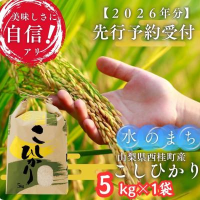 ふるさと納税 西桂町 【令和8年産 先行予約受付】富士山麓「水のまち」のこしひかり精米 5kg×1袋　