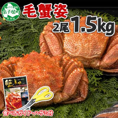 ふるさと納税 弟子屈町 【のし付】毛蟹 姿 2尾 計1.5kg前後 ボイル 蟹ハサミ・ガイド付 北海道 弟子屈町 3336