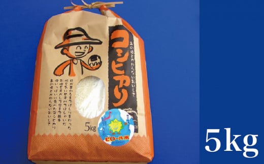 こしひかり 白米 ピロール健康米 5kg（福井県越前市産）