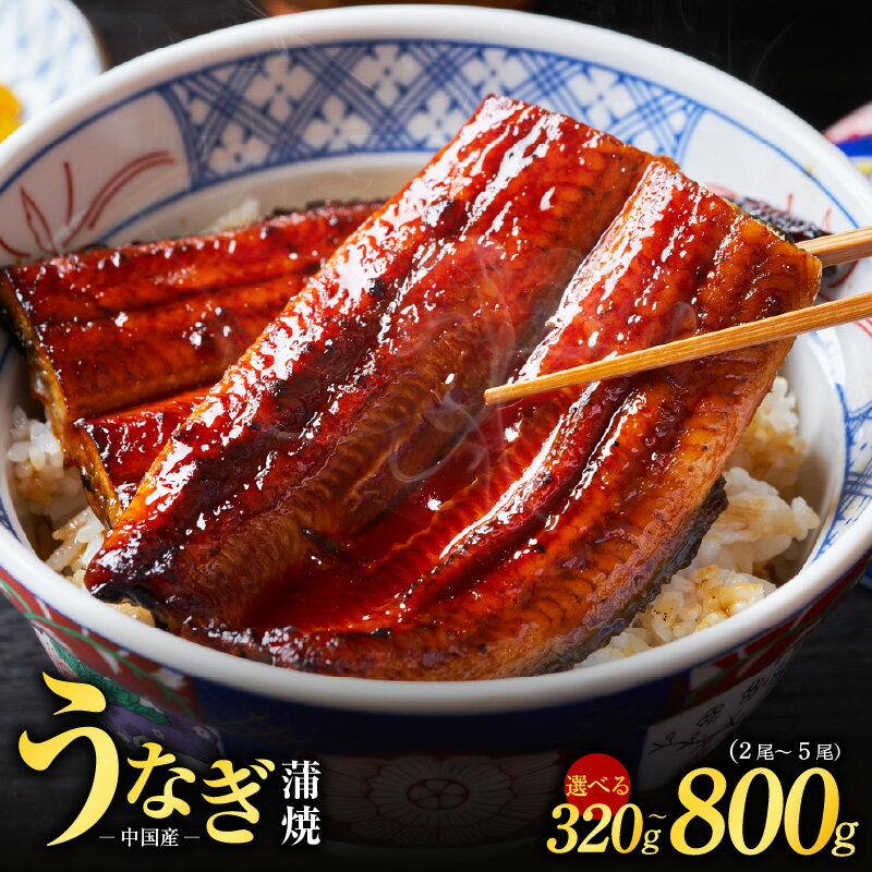 秘伝のたれ仕込み うなぎ蒲焼 合計320g（約160g×2尾）