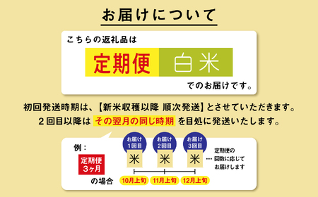 《先行予約》【6ヶ月定期便】米 令和8年産 あきたこまち 15kg 白米
