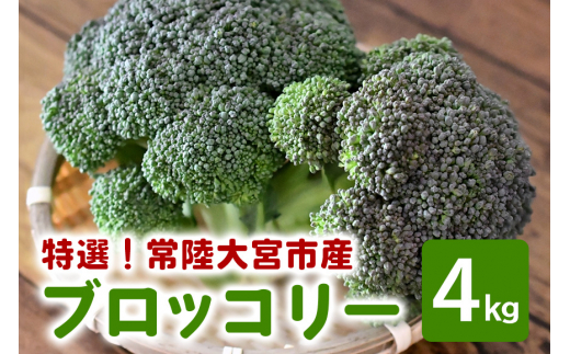 特選ブロッコリー 4kg 小野瀬農園 ho1418