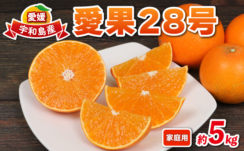 
            愛果28号 5kg 愛媛みかん 兵頭農園 みかん mikan 愛媛ミカン 愛媛蜜柑 果物 フルーツ 柑橘 みかん 高級 ブランド ゼリー プルプル 甘い 愛媛県産 限定 品種 産地直送 農家直送 国産 愛媛 宇和島 B016-055002
          