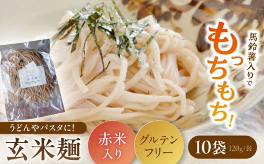 お山の玄米麺 計1.2kg（120g×10パック）/ セット うどん パスタ グルテンフリー 白川町 / [AWBC003]