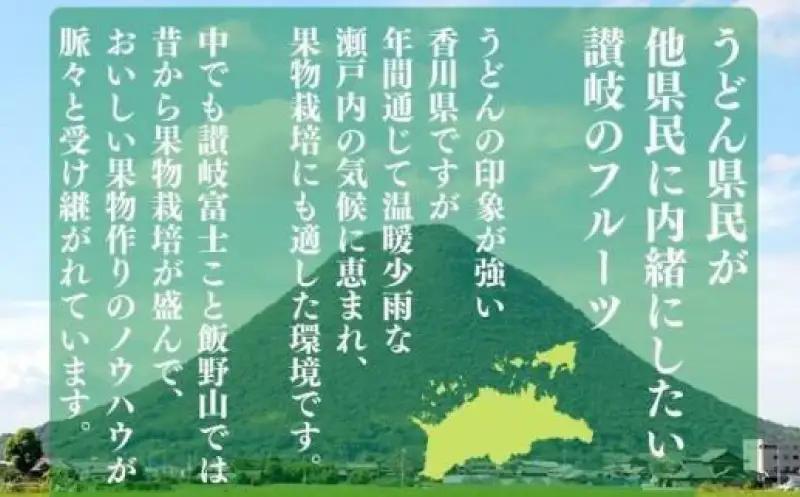 【2026年9月上旬より順次発送】シャインマスカット 訳あり 約1kg 2-3房