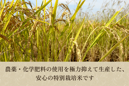 【定期便3回毎月お届け】新潟県加茂市産 特別栽培米コシヒカリ 精米15kg（5kg×3）白米 従来品種コシヒカリ 加茂有機米生産組合 定期便 定期購入 定期 コシヒカリ 新潟県産コシヒカリ 米 お米