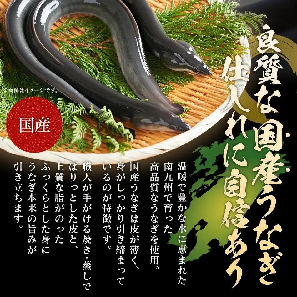 うなぎの蒲焼（1尾）頭付き230g以上　AE01