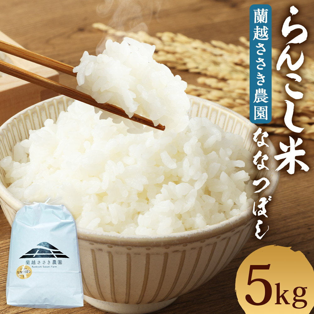 【ふるさと納税】＜令和7年産＞ らんこし米 ななつぼし 5kg【蘭越ささき農園】 【2025年11月上旬発送開始】 お米 精米 白米 ななつぼし 令和7年産 蘭越町産 北海道産 送料無料