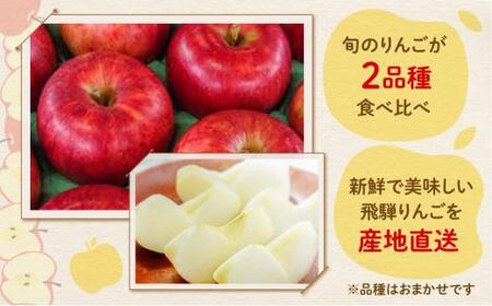 【9月下旬～11月上旬発送】飛騨りんご2種詰め合わせ 3kg | りんご リンゴ KU001