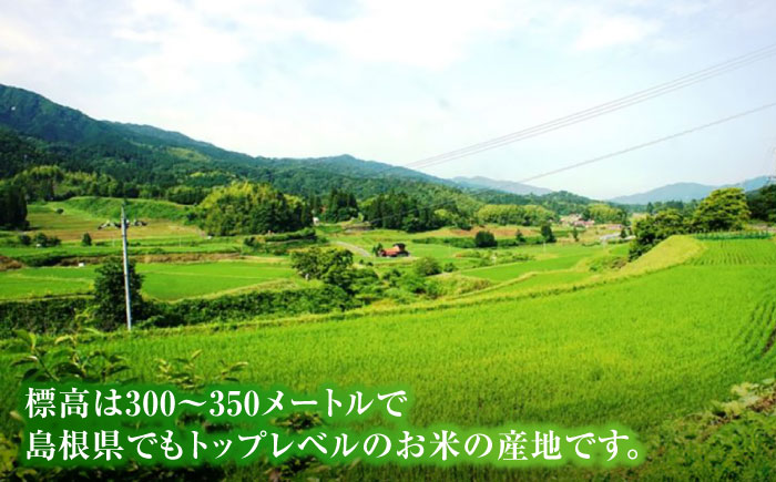 島根県産「比田米きぬむすめ（広瀬町）」20kg(2kg×10) 島根県松江市/有限会社藤本米穀店 [ALCG021]