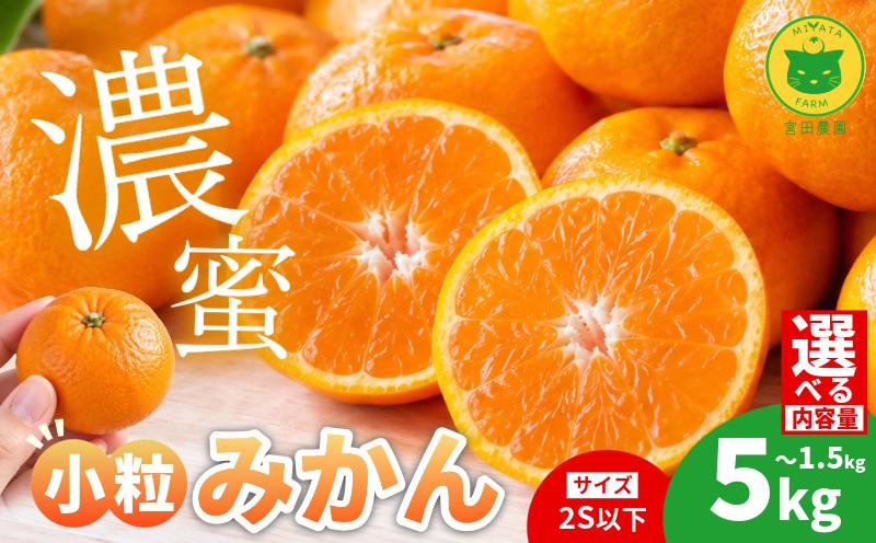 
                  【2026年11月10日から発送】甘さ凝縮！濃蜜小粒 みかん 1.5kg~5kg 2S以下 選べる容量 ミカン 蜜柑 小玉 2S 薄皮 甘い 1.5kg 3kg 5kg 小松島
                