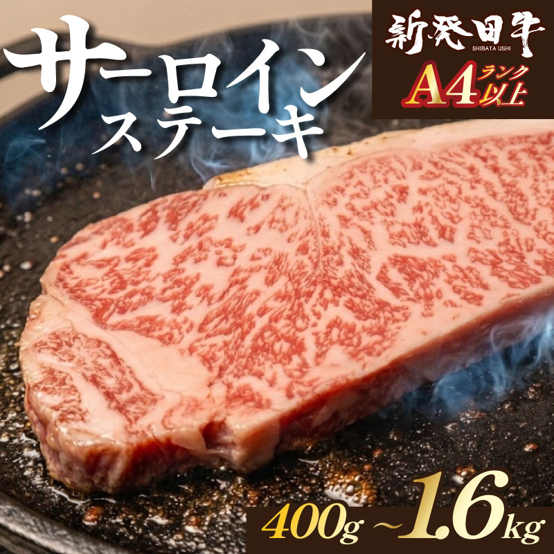 【ふるさと納税】 サーロイン ステーキ 牛肉 400g 800g 1.6kg にいがた和牛 和牛 国産牛 赤身 焼肉 ふるさと納税 和牛 BBQ キャンプ ブランド牛 特選 贅沢 厳選和牛 ギフト 贈答 お歳暮 新潟県 新潟 新発田市 新発田 えのもとミート 母の日 enomoto010 enomoto011 enomoto012