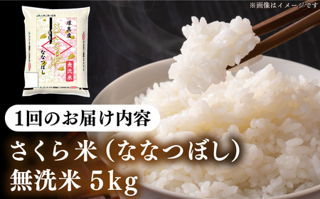 【全2回定期便】【無洗米】【令和7年産】さくら米（ななつぼし）5kg 2カ月 連続 毎月 お米 無洗米 白米 ご飯 ななつぼしブランド米 北海道 [AXAB074]