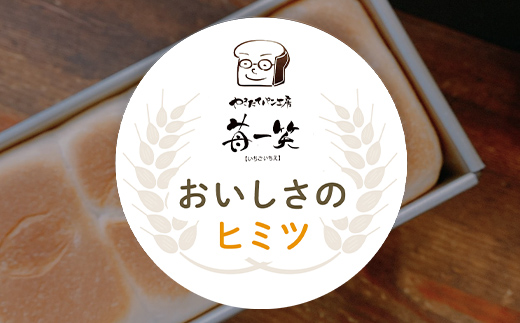 【定期便】3日経っても「ふんわりやわらか」こだわり食パン 3斤×4週【4週連続お届け】 苺一笑 いちごいちえ パン 食パン 食ぱん トースト 保存料不使用 添加物不使用 北海道産小麦 国産小麦 春よ恋