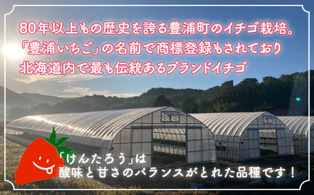 【2026年5月以降順次出荷】いちご「けんたろう」大玉24粒 TYUAC001