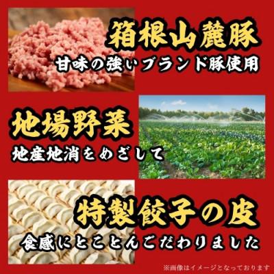 ふるさと納税 三島市 箱根山麓豚冷凍生餃子 30個×2パック |  | 02
