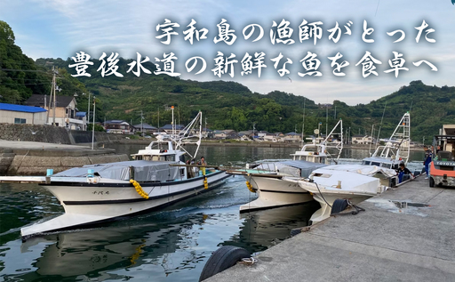 宇和島の鯛めし 1～2人前 8セット 宇和島鮮魚 鯛めし D026-200003